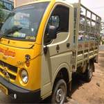 Well Planned Tata Ace Transportation is Reality by Genuine Transporters